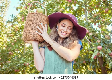 Young Smiling Woman Carrying A Bucket Filled With Apples. One Female Holding A Bag Full Of Organic Fruit In An Orchard During Harvest Season Outside. Farmer Harvesting Fruits From Trees On A Farm