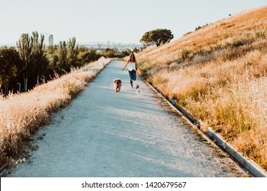 Young And Smiling Woman Carrying Playing With Her Dogs In The Park. Running And Having Fun As A Family. Lifestyle. Dog Lovers