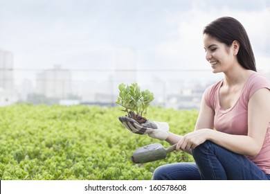 Young Smiling Woman Gardening And Holding Plant In Roof Top Garden In City