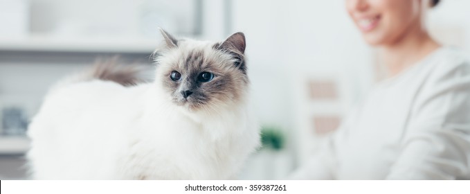 Young Smiling Woman And Her Lovely Cat Posing At Home, Pet Care And Lifestyle Concept