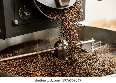 Young specialist worker is roasting coffee in hangar - Shutterstock ID 1976309069