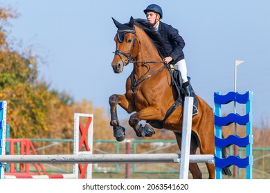 Young sportsman riding the sorrel horse jumping over an obstacle on show jumping competition. - Shutterstock ID 2063541620