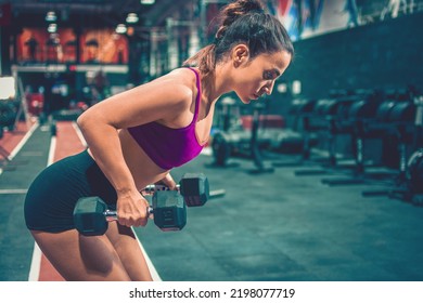 Young Sportswoman In Deadlift Position Exercising With Dumbbells In The Gym.