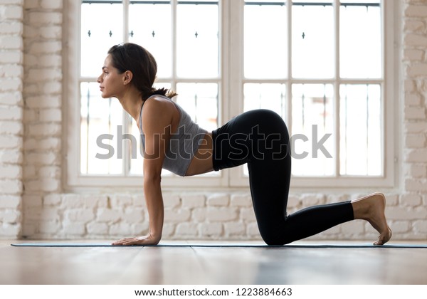 Young sporty attractive woman practicing yoga,\
doing asana paired with Cat Pose on the exhale exercise, Cow,\
Bitilasana pose, working out, wearing sportswear, indoor full\
length, white yoga studio