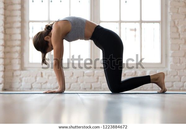 Young sporty attractive woman practicing yoga,\
doing asana paired with Cow Pose on the inhale exercise, Cat,\
Marjaryasana pose, working out, wearing sportswear, indoor full\
length, white yoga studio