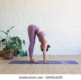 Young sporty woman practicing yoga, doing head to knees exercise, uttanasana, Standing forward bend pose, working out, wearing sportswear, violet top, yoga studio