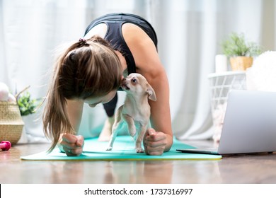 Young sporty woman working out and using laptop at home in living room, doing yoga or pilates exercise on turquoise mat, standing in plank pose with cute puppy dog. Home fitness concept