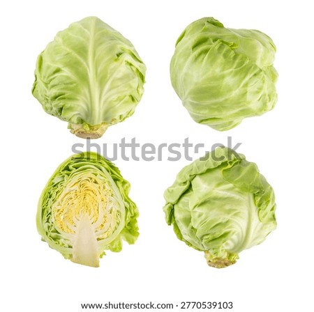 Young spring green raw cabbage, whole and cut in half isolated on white background