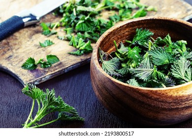 Young Spring Nettle Tips Used To Make Salad