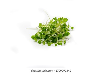 28,419 Sprout microgreen Images, Stock Photos & Vectors | Shutterstock