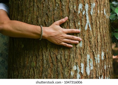 Young strong Indian  environmental activist woman protecting nature, Kerala India. Save trees in dense forest. Prevent forest fire and deforestation.  - Powered by Shutterstock