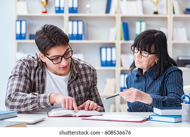 Young Student During Individual Tutoring Lesson