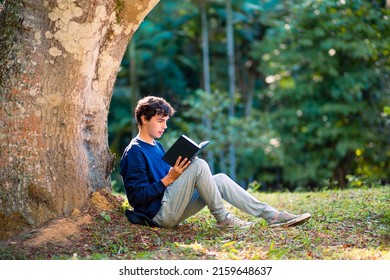 Young student sitting under a tree and reading a book. - Powered by Shutterstock