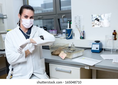 Young Student Or Tech With Laboratory Mouse