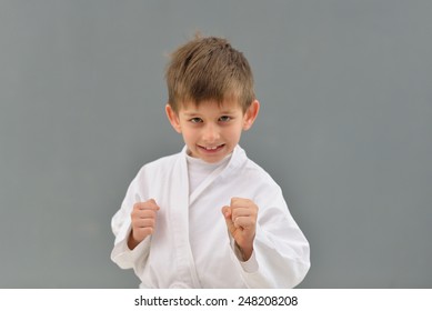 Young Successful Karate Kid Karate Positions Stock Photo 248208208 ...