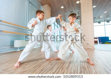 young, successful multi ethical kids in karate position