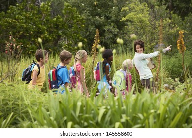 Young teacher with children on nature field trip