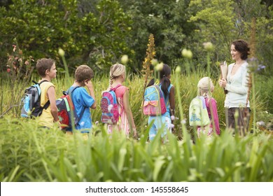 Young Teacher With Children On Nature Field Trip