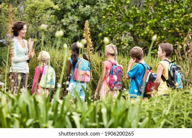 Young Teacher With Children On Nature Field Trip