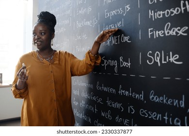 Young teacher teaching IT lesson