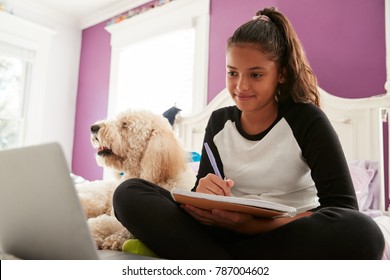 Young Teen Girl Studying On Her Bed Beside Pet Dog