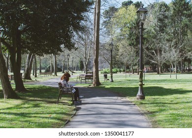 Young Teen Reading A Book Under A Tree In The Park.