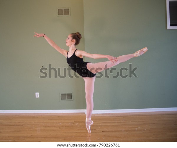 leotard tights and ballet shoes