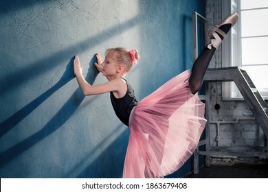 Young teenage ballet student girl in pink tutu training dance in academy