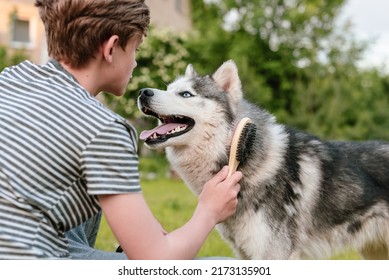 Young teenage boy combing dog at special brush outdoor in yard. Boy brushing husky with comb. Concept of care animal, home grooming, best pet for child, teenager and pet dog, favorite pet. - Shutterstock ID 2173135901