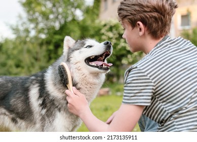 Young teenage boy combing dog at special brush outdoor in yard. Boy brushing husky with comb. Concept of care animal, home grooming, best pet for child, teenager and pet dog, favorite pet. - Shutterstock ID 2173135911