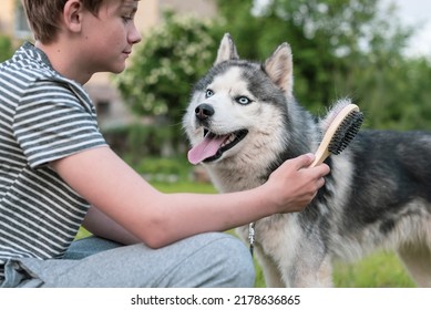 Young teenage boy combing dog at special brush outdoor. Boy brushing husky with comb. Concept of care animal, home grooming. Best pet for child, teenager and pet dog, favorite pet, love animals - Shutterstock ID 2178636865