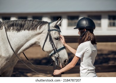 Young Teenage Girl Equestrian Showing Love And Care To Her Favorite Horse. Dressage Outfit