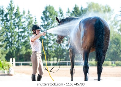 Young teenage girl equestrian washing her chestnut horse in shower. Vibrant multicolored summertime outdoors horizontal image. - Powered by Shutterstock