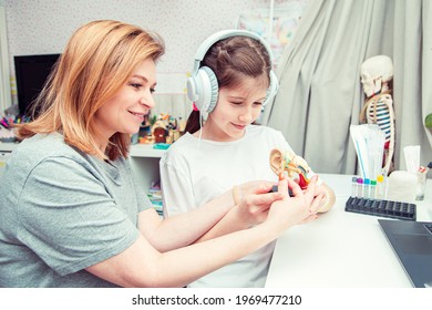 Young Teenage Girl With Mom Studying Human Anatomy At Home. Unusual Hobby. 