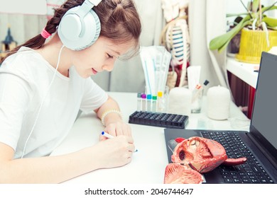 Young Teenage Girl Is Studying Human Anatomy At Home. Unusual Hobby.