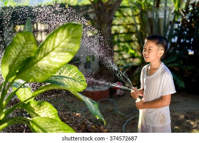 Young Thai boy spray water to the plant in his garden at home. Earth day concept.