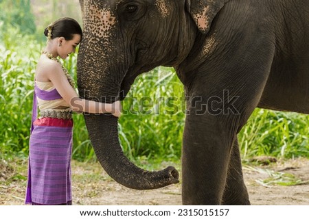 Young Thai woman in Thai traditional costume standing with friendly Asian elephant in sanctuary Northern Thailand, female model wear Northern dress hugging big animal,Woman and elephant relationship, 