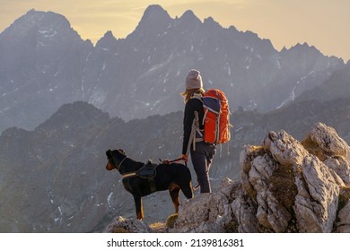 Young tourist with a dog enjoying the view of Tatry Wysokie (High Tatras) from a trail in Belianskie Tatry (Belianske Tatras), Slovakia