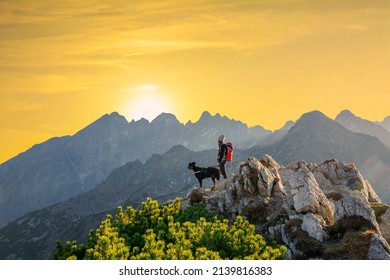 Young tourist with a dog enjoying the view of Tatry Wysokie (High Tatras) from a trail in Belianskie Tatry (Belianske Tatras), Slovakia