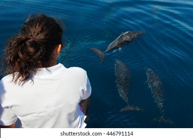 Young Tourist Girl During A Dolphin Watching