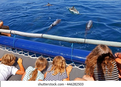 Young Tourists During A Dolphin Watching