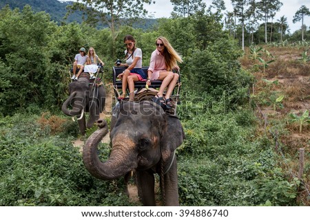 Young tourists are riding on elephants through the jungle