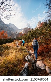  Young Traveler Hiking Girl With Backpacks. Hiking In Mountains. Sunny Landscape. Tourist Traveler On Background View Mockup. High Tatras , Slovakia