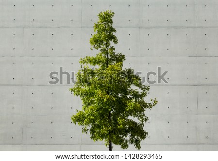 Similar – Foto Bild Nature finds a way