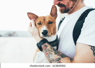 Young Trendy Hipster With Tattoos Crazy Curly Hair With His Best Friend A Young And Very Cute Basenji Dog Breed Takes Care Of His Pet, Holds Him In His Hands And Hugs