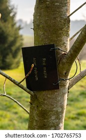 Young Tress At The Arboretum