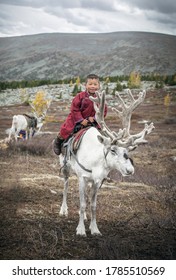 young tsaatan boy with reindeer in northern Mongolia