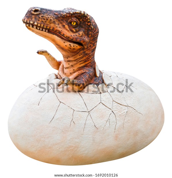 how big was a trex egg