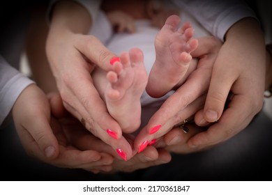 Young Unrecognizable Family Of Mother Father And Child. Mom, Dad And Kid Hold Legs, Foot Of Newborn Baby In Palms Of Hand