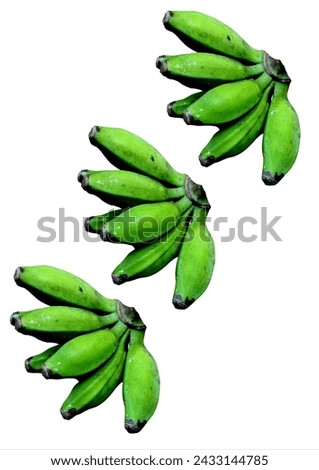 Young unripe banana fruit on a white background